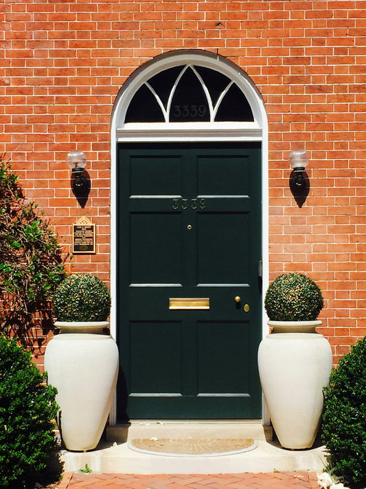 black wooden door with green plant