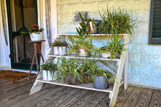 a shelf filled with potted plants on a porch