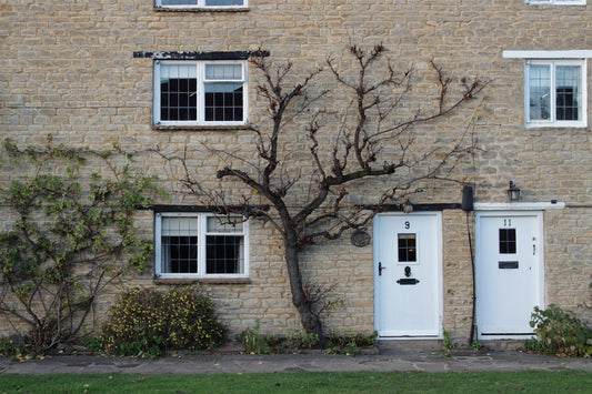 a brick building with two white doors and a tree in front of it