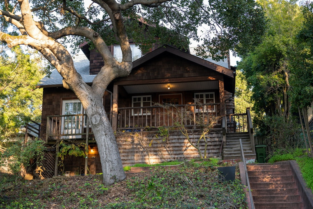 A house with a tree in front of it