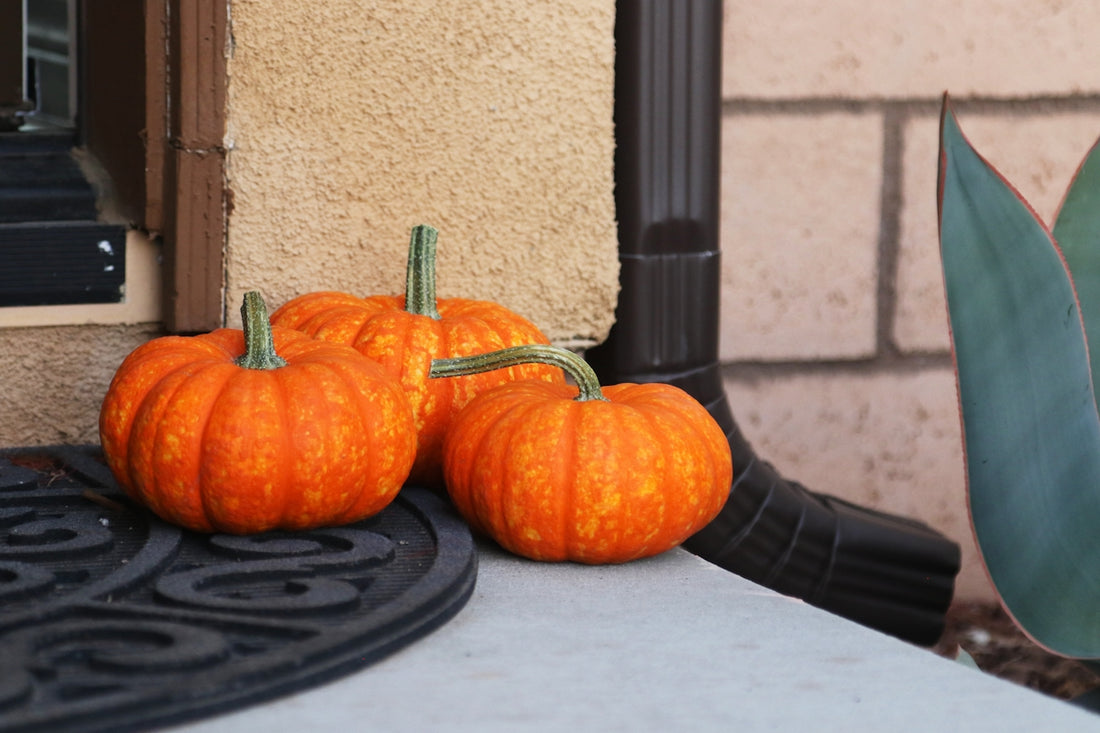 Three small pumpkins sit on a doorstep.