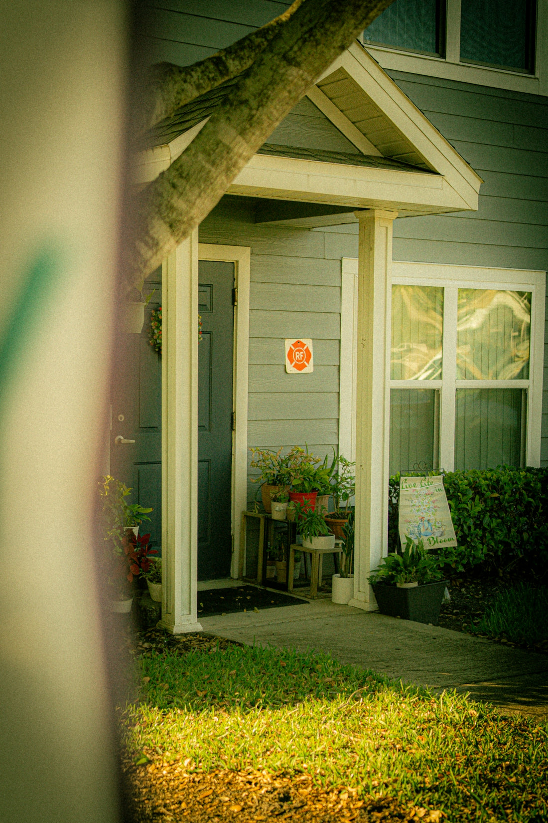 Entrance to a house with potted plants.