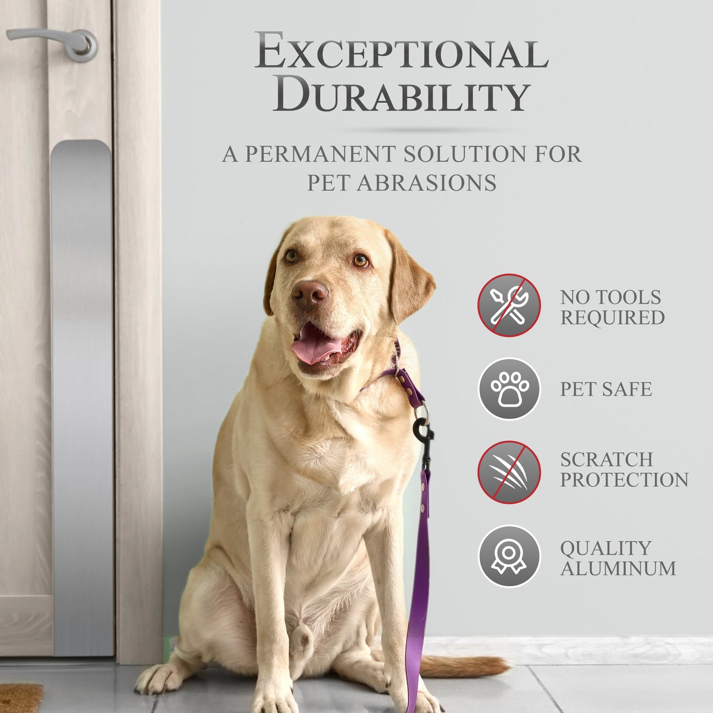 Custom Engraved Dog Scratch Protection Door Plate – Personalized Protection