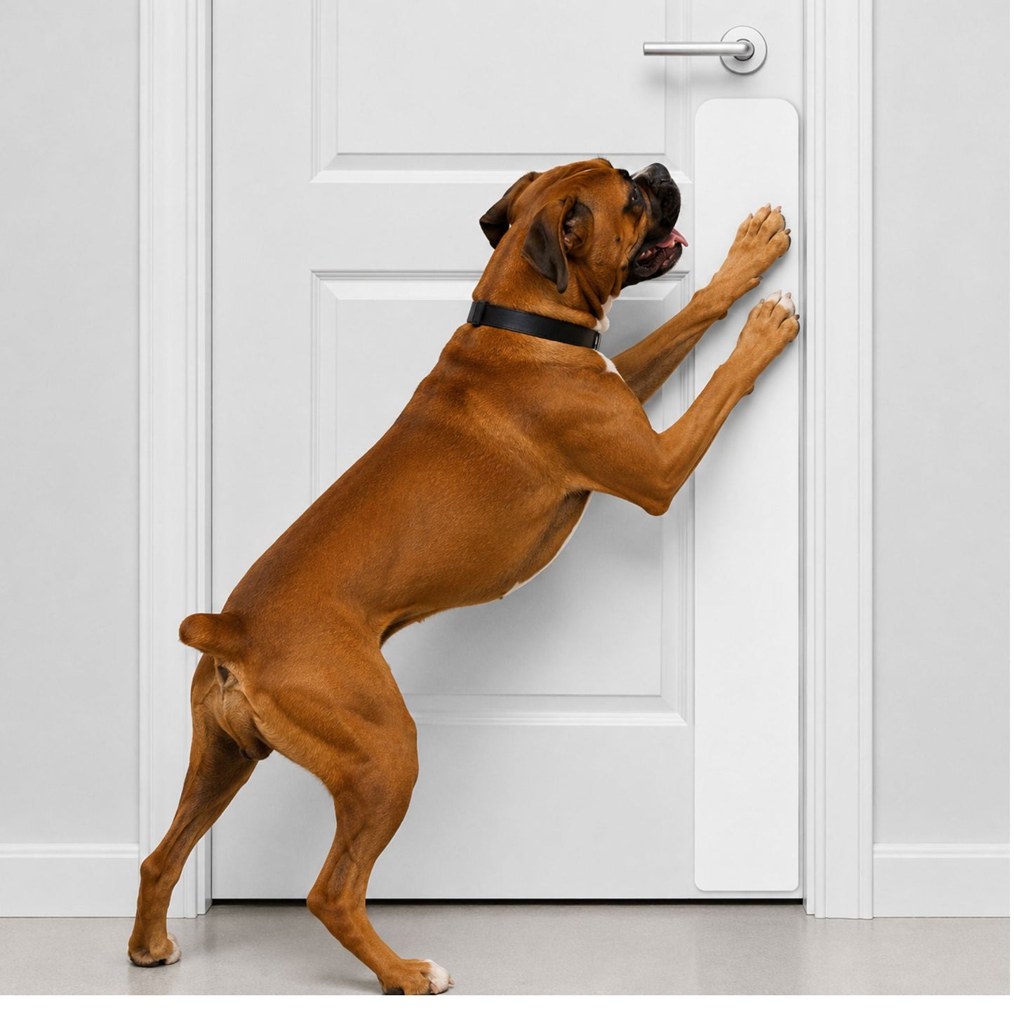 Dog Scratch Protection Door Plate – Premium Pet-Safe Door Guard