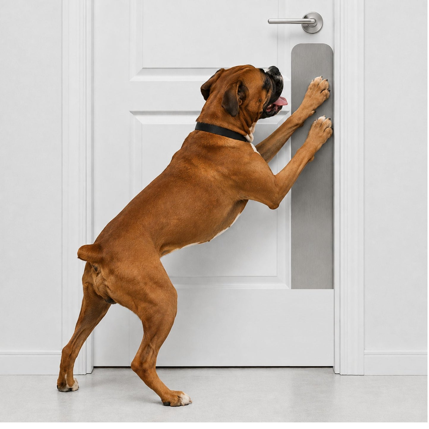 Dog Scratch Protection Door Plate – Premium Pet-Safe Door Guard
