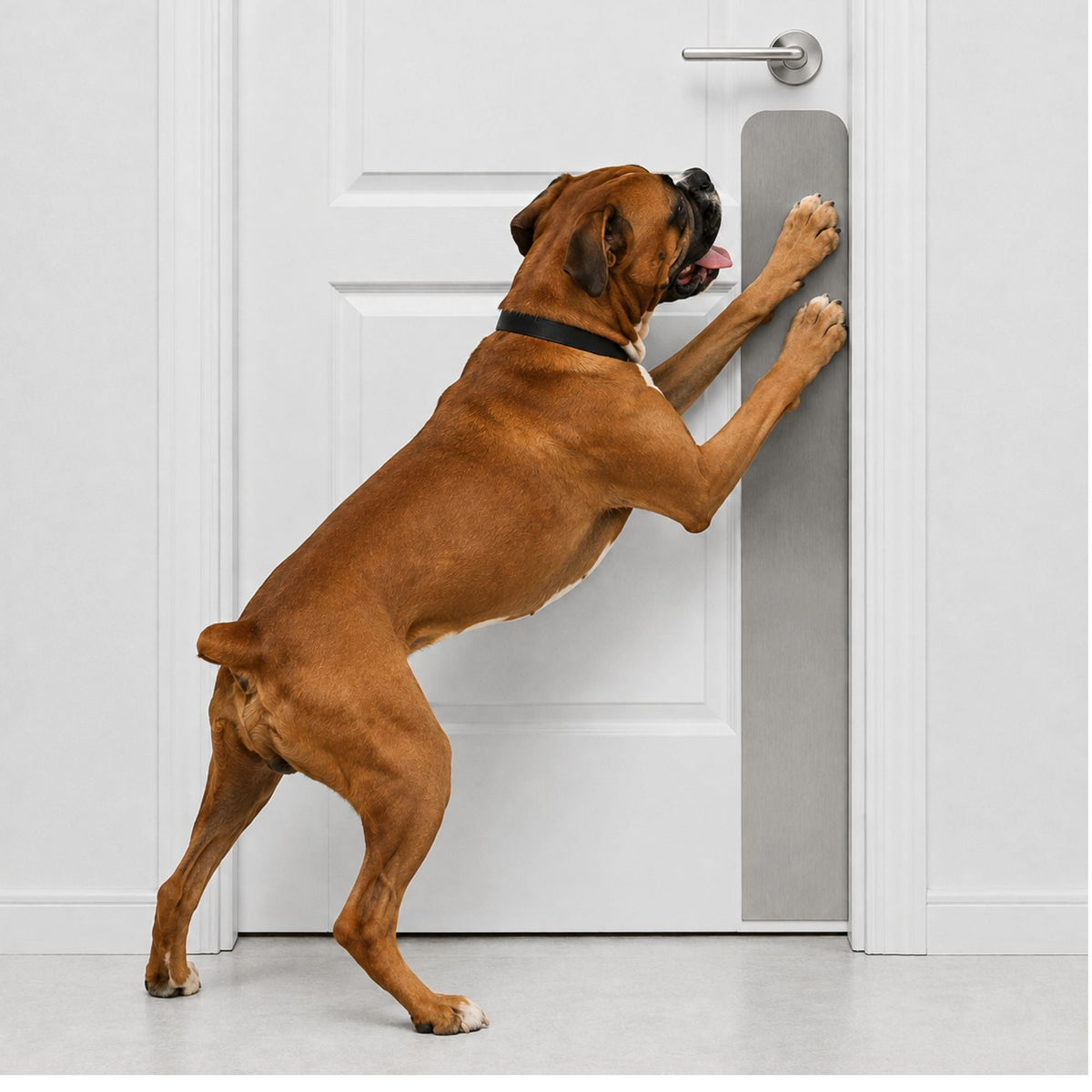Dog Scratch Protection Door Plate – Premium Pet-Safe Door Guard