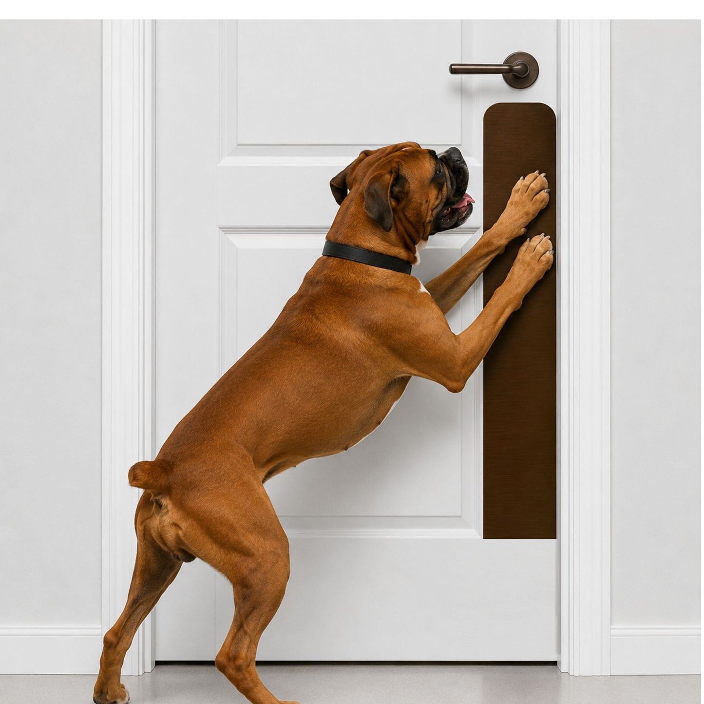 Dog Scratch Protection Door Plate – Premium Pet-Safe Door Guard