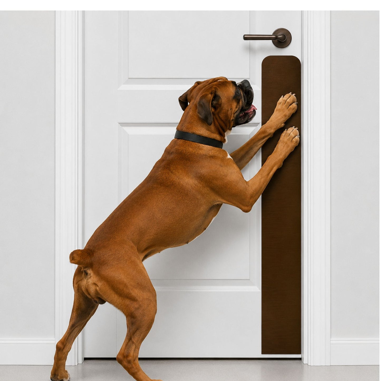 Dog Scratch Protection Door Plate – Premium Pet-Safe Door Guard