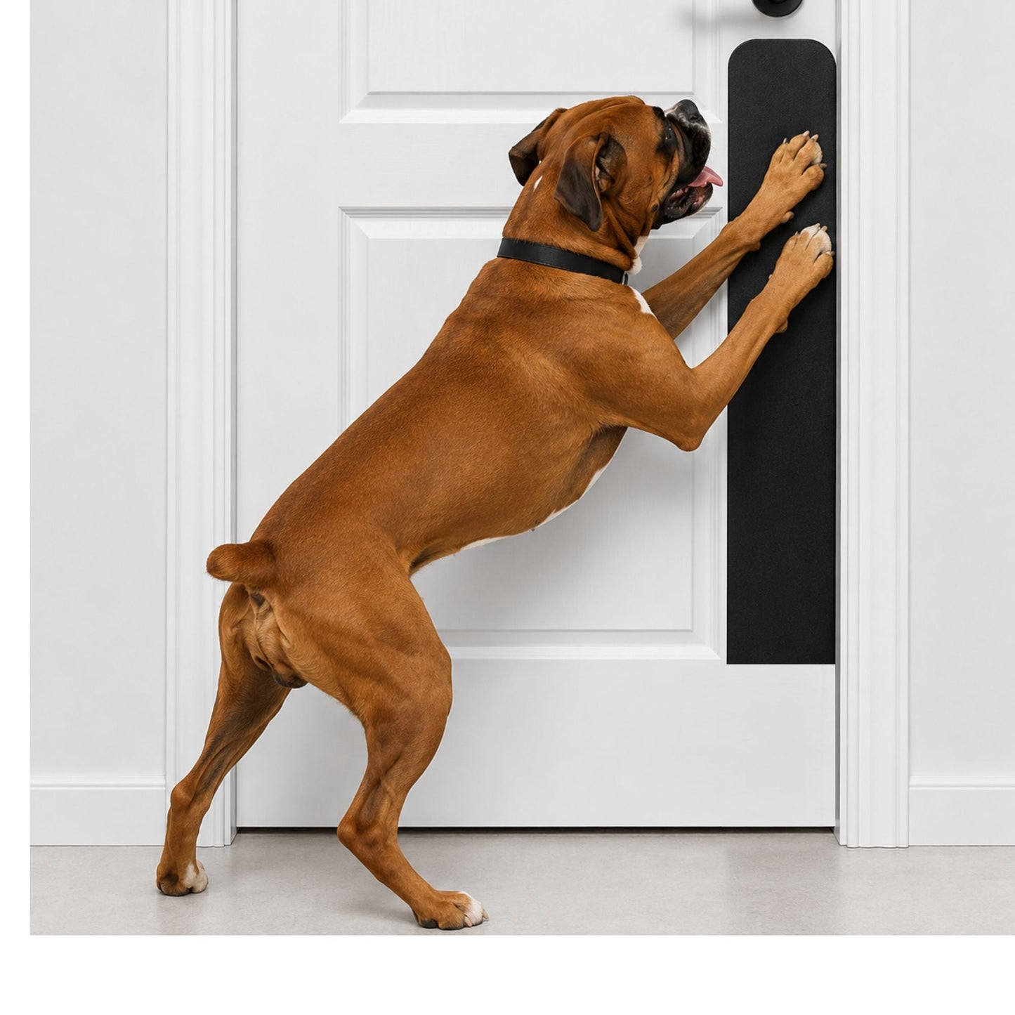 Dog Scratch Protection Door Plate – Premium Pet-Safe Door Guard