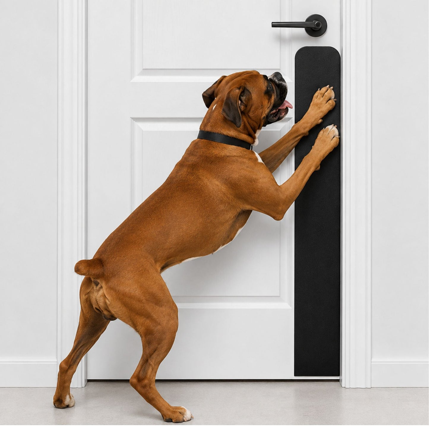 Dog Scratch Protection Door Plate – Premium Pet-Safe Door Guard