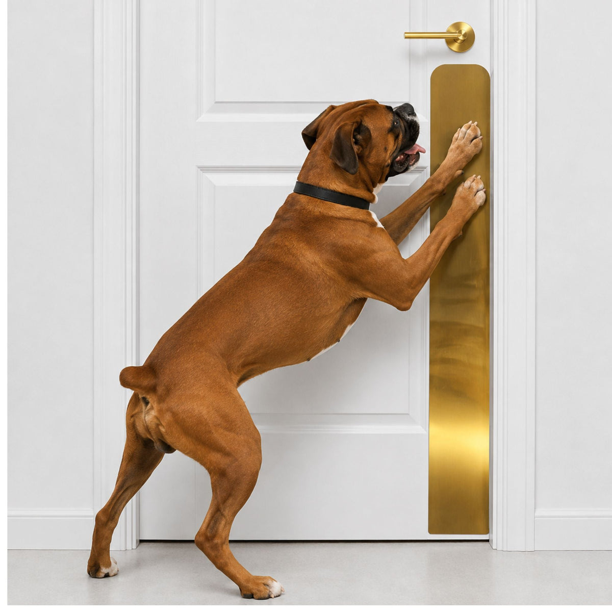 Dog Scratch Protection Door Plate – Premium Pet-Safe Door Guard