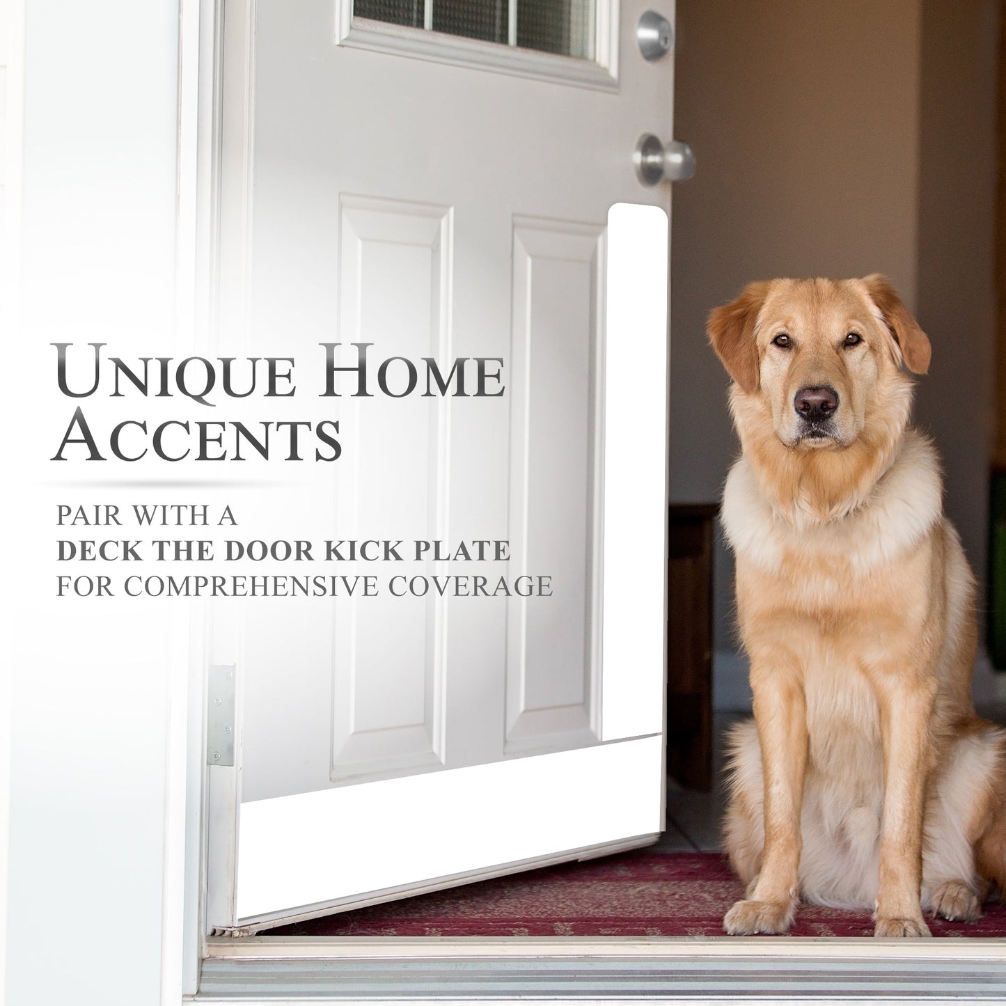 Dog Scratch Protection Door Plate – Premium Pet-Safe Door Guard