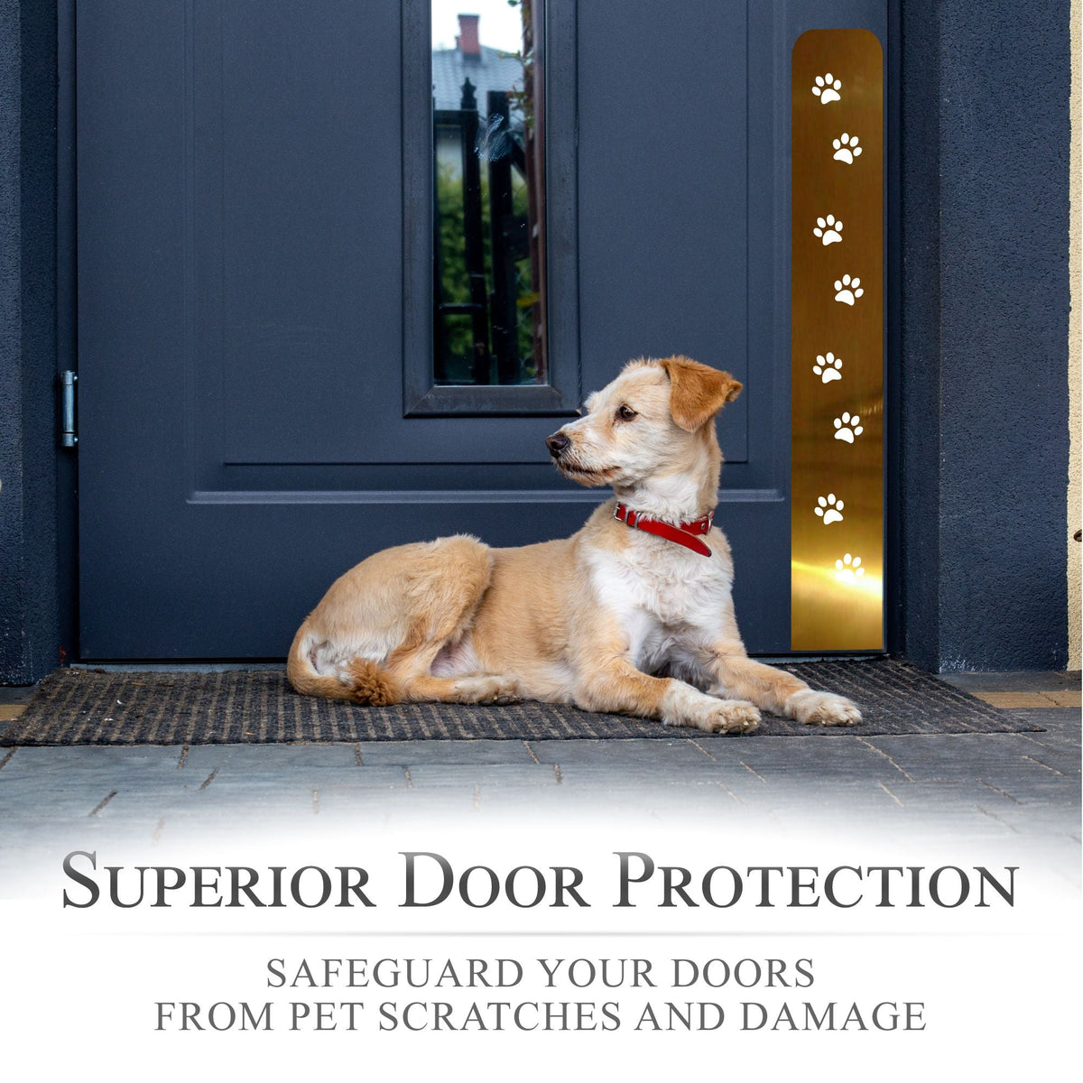 Paw Print Engraved Dog Scratch Protection Plate – Premium Door Guard