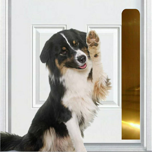 Dog Scratch Protection Door Plate – Premium Pet-Safe Door Guard