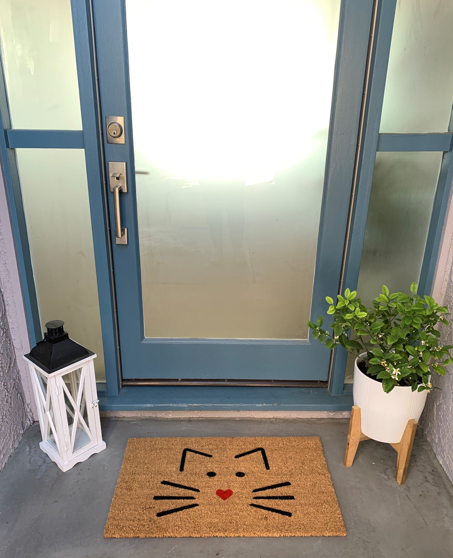 Cute Cat Face Outdoor Doormat