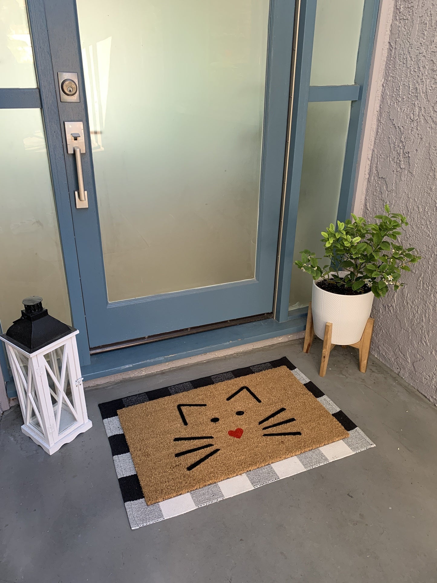 Cute Cat Face Outdoor Doormat