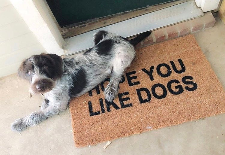 Hope You Like Dogs Funny Doormat