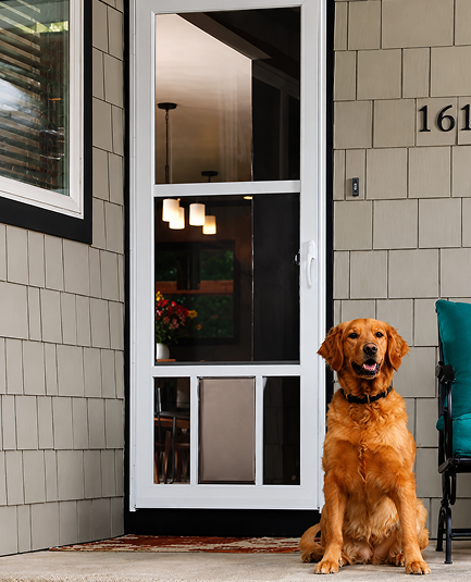 Pet Storm Doors