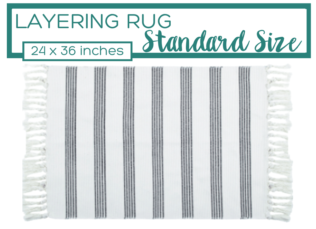 Black and White Striped Accent Rug With Fringe